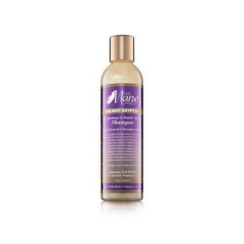 The Mane Choice Anti-Breakage & Repair Antidote Shampoo - Duafe Beauty Collective