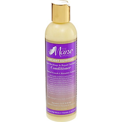 The Mane Choice Anti-Breakage & Repair Antidote Conditioner - Duafe Beauty Collective
