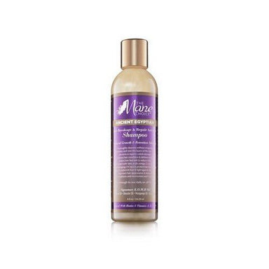 The Mane Choice Anti-Breakage & Repair Antidote Shampoo - Duafe Beauty Collective
