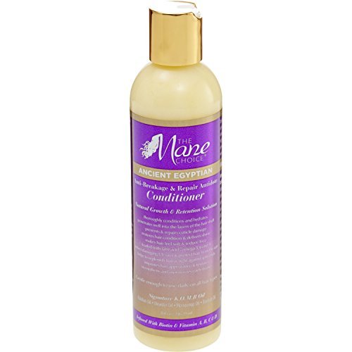 The Mane Choice Anti-Breakage & Repair Antidote Conditioner - Duafe Beauty Collective