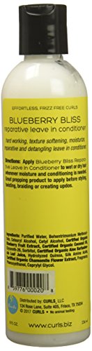 CURLS Blueberry Bliss Reparative Leave-In Conditioner 8 Ounces - Duafe Beauty Collective