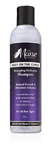 The Mane Choice Detangling Hydration Shampoo - Duafe Beauty Collective