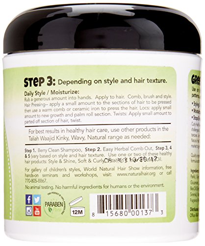 Taliah Waajid Kinky Wavy Natural Herbal Style and Shine, 6 Ounce - Duafe Beauty Collective